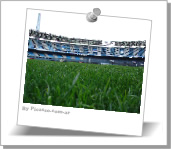 Campo de deportes
