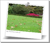 Césped para jardines